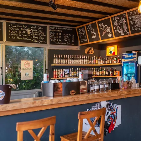 Yasemin フェティエ